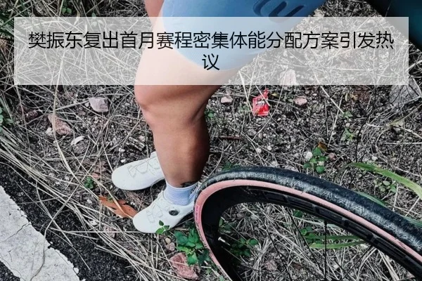 樊振东复出首月赛程密集体能分配方案引发热议（kaiyun）